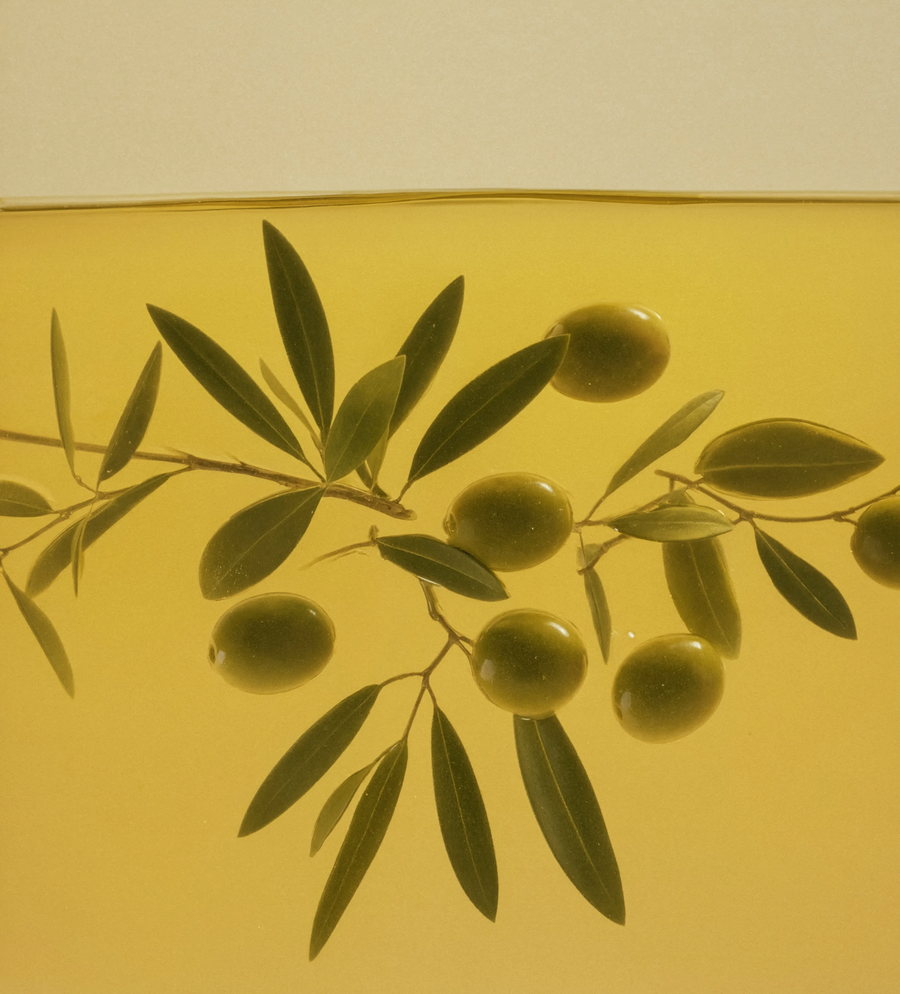 Greek Olive Oil